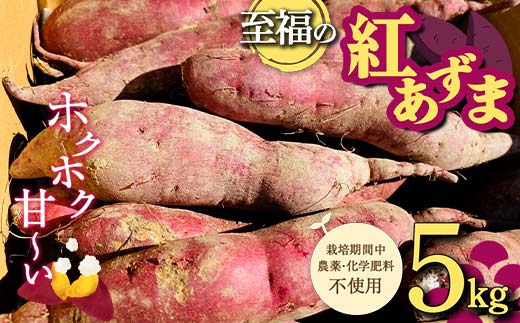 栽培期間中、農薬・化学肥料不使用 ホクホク甘～い『至福の紅あずま』サイズ 中～大混合 5kg さつまいも サツマイモ 山形県 新庄市 F3S-1937