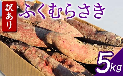 栽培期間中、農薬・化学肥料不使用 『訳あり ふくむらさき』5kg さつまいも サツマイモ 芋 F3S-1992