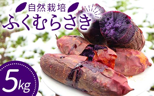 自然栽培 ふくむらさき 5kg 大～小混合 さつまいも サツマイモ 芋 F3S-1994
