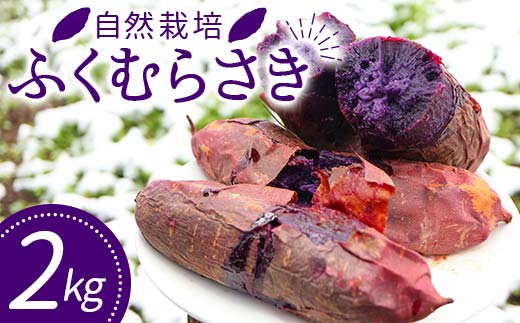 自然栽培 ふくむらさき 2kg 大～小混合 さつまいも サツマイモ 芋 F3S-1995
