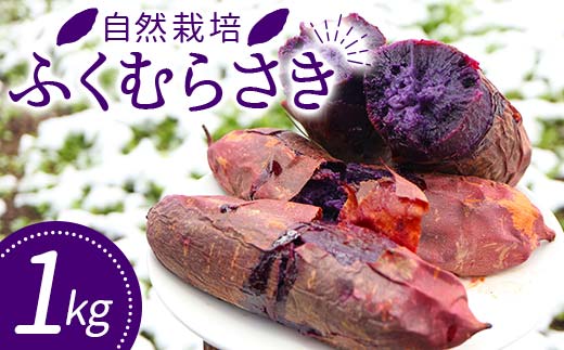 自然栽培 ふくむらさき 1kg サイズ 大～小混合 さつまいも サツマイモ 芋 F3S-1996