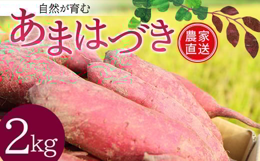 自然が育む『あまはづき』2kg さつまいも サツマイモ 芋 F3S-1998