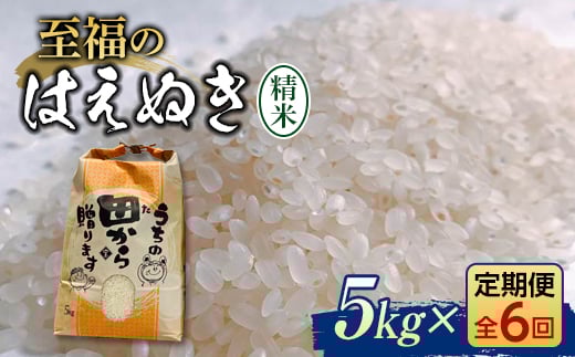 定期便 全6回 令和6年産 至福のはえぬき（精米）5kg 米 お米 おこめ 山形県 新庄市 F3S-2050