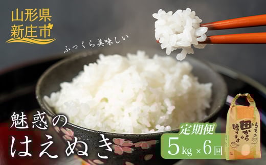 定期便 全6回 令和6年産 魅惑のはえぬき5kg 米 お米 おこめ 山形県 新庄市 F3S-2060