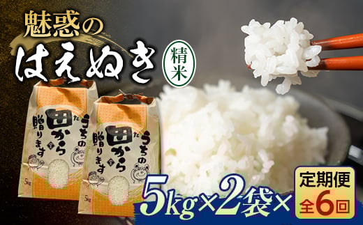 定期便 全6回 令和6年産 魅惑のはえぬき 10kg（5kg×2） 米 お米 おこめ 山形県 新庄市 F3S-2065