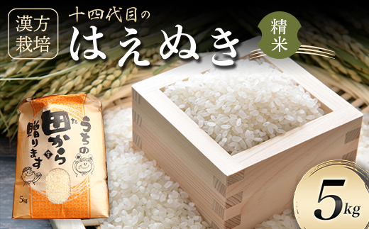 漢方栽培 十四代目のはえぬき 5kg（精米）米 お米 おこめ 山形県 新庄市 F3S-2068