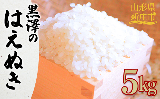 【先行予約】 令和7年産 黒澤のはえぬき 5kg 米 お米 おこめ 山形県 新庄市 F3S-2079