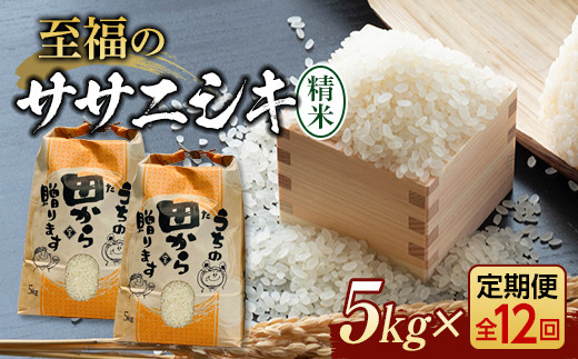 定期便 【先行予約】令和6年産 至福のササニシキ（精米）5kg×12回 米 お米 おこめ 山形県 新庄市 F3S-2154