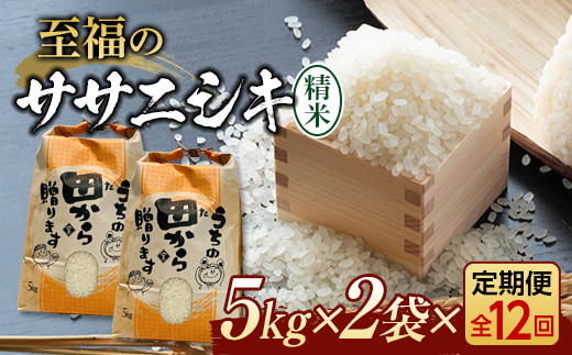 定期便 【先行予約】令和6年産 至福のササニシキ（精米）10kg（5kg×2）×12回 米 お米 おこめ 山形県 新庄市 F3S-2158