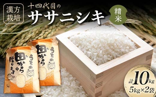 【先行予約】 令和6年産 漢方栽培 十四代目のササニシキ 10kg（5kg×2） 米 お米 おこめ 山形県 新庄市 F3S-2177