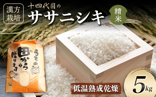 【先行予約】 令和6年産 漢方栽培 低温熟成乾燥 十四代目のササニシキ 5kg 米 お米 おこめ 山形県 新庄市 F3S-2181