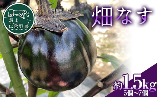 最上伝承野菜「畑なす」約1.5kg なす ナス 茄子 野菜 なすび 夏野菜 F3S-2197