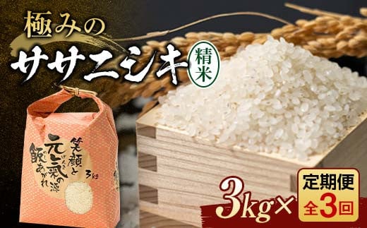 定期便 全3回 極みのササニシキ（精米）3kg 米 お米 おこめ ふるさと納税 山形県 新庄市 F3S-2387