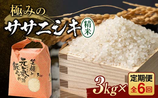 定期便 全6回 極みのササニシキ（精米）3kg 米 お米 おこめ ふるさと納税 山形県 新庄市 F3S-2388