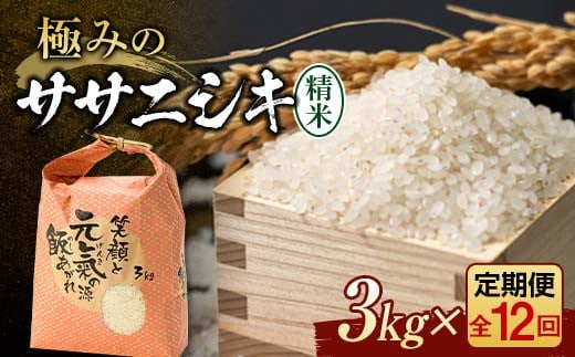 定期便 全12回 極みのササニシキ（精米）3kg 米 お米 おこめ ふるさと納税 山形県 新庄市 F3S-2389