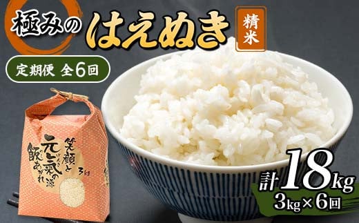 定期便 全6回 極みのはえぬき（精米）3kg 米 お米 おこめ ふるさと納税 山形県 新庄市 F3S-2391