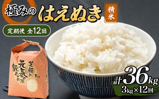 定期便 全12回 極みのはえぬき（精米）3kg 米 お米 おこめ ふるさと納税 山形県 新庄市 F3S-2392