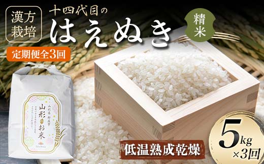 令和7年産 定期便 全3回 漢方栽培 低温熟成乾燥 十四代目のはえぬき（精米）5kg 米 お米 おこめ 山形県 新庄市 F3S-2408