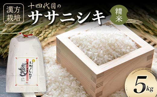 漢方栽培 十四代目のササニシキ 5kg 米 お米 おこめ 山形県 新庄市 F3S-2410