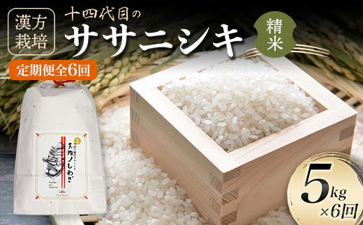 定期便 全6回 漢方栽培 十四代目のササニシキ（精米） 5kg×6回 米 お米 おこめ 山形県 新庄市 F3S-2411