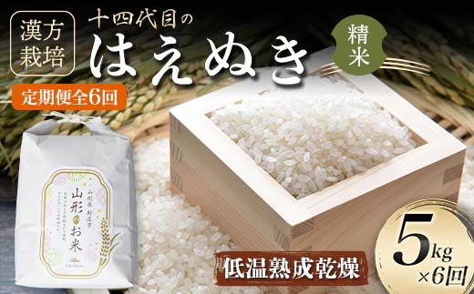定期便 全6回 漢方栽培 低温熟成乾燥 十四代目のはえぬき（精米）5kg 米 お米 おこめ 山形県 新庄市 F3S-2413