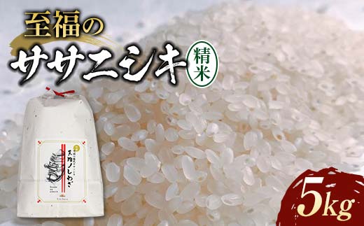 令和7年産 至福のササニシキ（精米）5kg×1袋 米 お米 おこめ 山形県 新庄市 F3S-2414