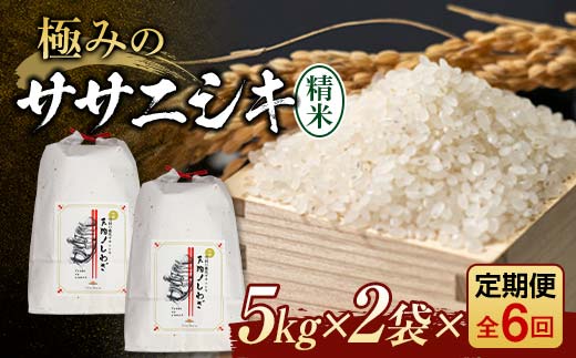 定期便 全6回 極みのササニシキ（精米）10kg（5kg×2）×6回 米 お米 おこめ ふるさと納税 山形県 新庄市 F3S-2416