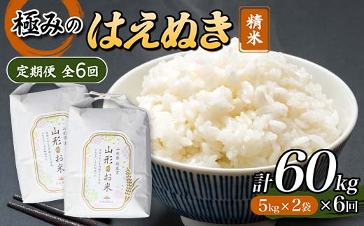 定期便 全6回 極みのはえぬき（精米）5kg×2 米 お米 おこめ 山形県 新庄市 F3S-2417