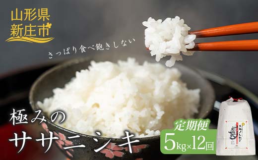 定期便 全12回 極みのササニシキ（精米）5kg 米 お米 おこめ ふるさと納税 山形県 新庄市 F3S-2424