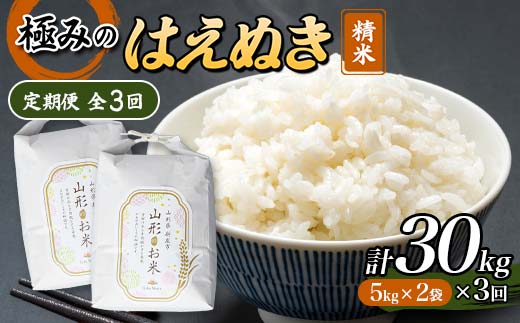 定期便 全3回 極みのはえぬき（精米）5kg×2 米 お米 おこめ ふるさと納税 山形県 新庄市 F3S-2426