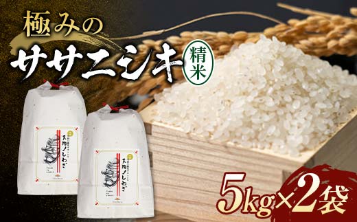 令和7年産 極みのササニシキ（精米） 10kg（5kg×2） 米 お米 おこめ 山形県 新庄市 F3S-2429