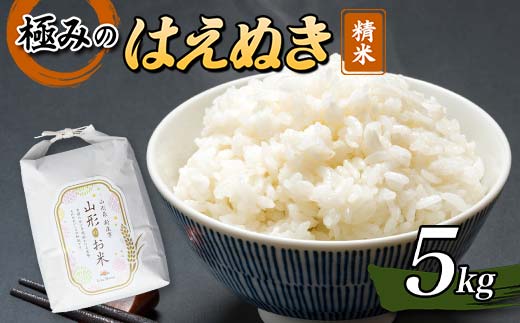 【先行予約】 令和7年産 極みのはえぬき5kg 米 お米 おこめ ふるさと納税 山形県 新庄市 F3S-2432