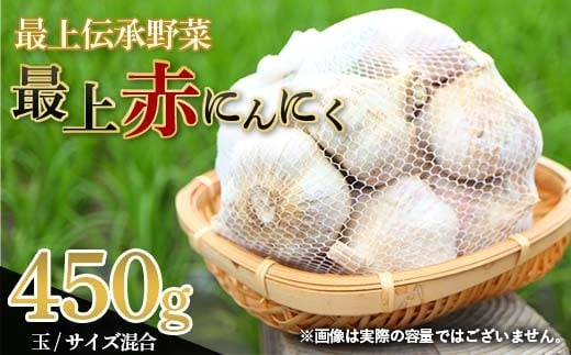 《2026年発送》 最上伝承野菜 【最上赤にんにく】 450g（玉）（M、L、2Lサイズ混合） にんにく ニンニク 薬味 ガーリック 野菜 F3S-2483