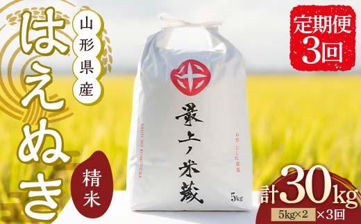 令和7年産 ＜定期便 3回＞ 山形県産 はえぬき 精米 10kg （5kg×2）【最上ノ米蔵】 F3S-2488