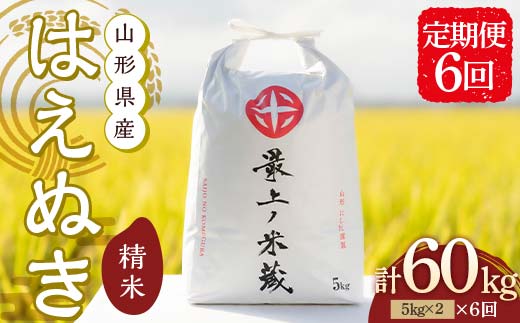 令和7年産 ＜定期便 6回＞ 山形県産 はえぬき 精米 10kg （5kg×2）【最上ノ米蔵】 F3S-2489