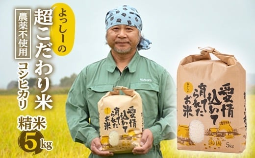【先行予約】令和7年産 よっしーの超こだわり米(農薬不使用) コシヒカリ （精米）5kg こしひかり 米 お米 おこめ 山形県 新庄市 F3S-2496