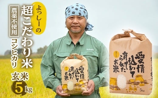 【先行予約】令和7年産 よっしーの超こだわり米(農薬不使用) コシヒカリ （玄米）5kg こしひかり 米 お米 おこめ 山形県 新庄市 F3S-2497