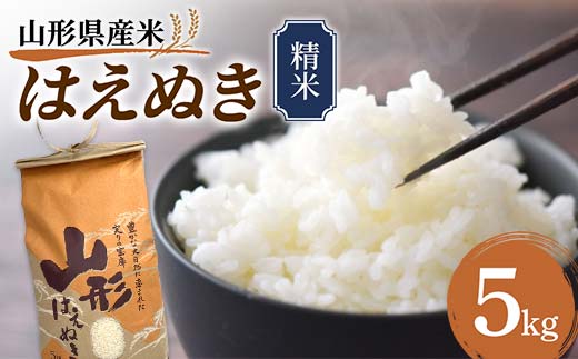 《先行予約》令和7年産 山形県産米 はえぬき 5kg 精米 米 お米 おこめ 山形県 新庄市 F3S-2504