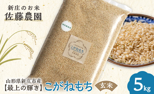 特別栽培米【最上の輝き】こがねもち 玄米 5kg 米 お米 おこめ 山形県 新庄市 F3S-2535