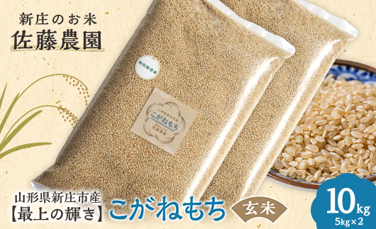特別栽培米【最上の輝き】こがねもち 玄米 5kg×2袋 米 お米 おこめ 山形県 新庄市 F3S-2543