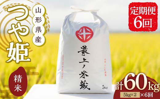 ＜定期便 6回＞ 令和7年産 つや姫 5kg×2 計10kg 精米 【最上ノ米蔵】 山形県産 こめ お米 米 白米 F3S-2566