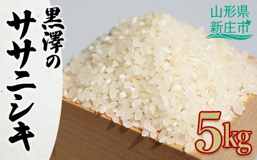 令和7年産 黒澤のササニシキ 5kg 米 お米 おこめ 山形県 新庄市 F3S-2614