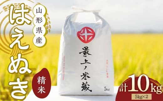 令和7年産 はえぬき 5kg×2 計10kg 精米 【最上ノ米蔵】 山形県産 こめ お米 米 白米 F3S-2624