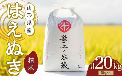令和7年産 はえぬき 5kg×4 計20kg 精米 【最上ノ米蔵】 山形県産 こめ お米 米 白米 F3S-2625