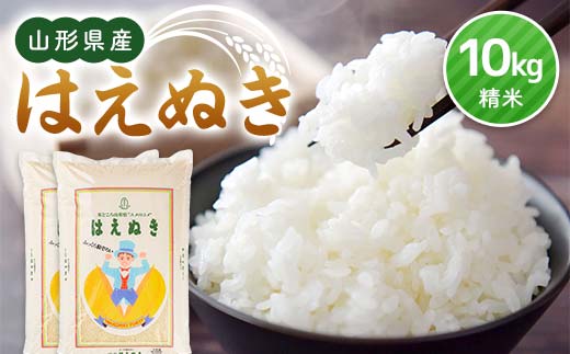 令和7年産 山形県産 はえぬき（精米）10kg（5kg×2） F3S-2635
