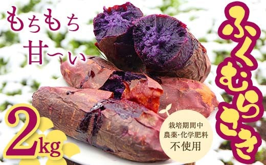 栽培期間中、農薬・化学肥料不使用 もちもち甘～い『ふくむらさき』 小～大混合 2kg さつまいも サツマイモ F3S-2638