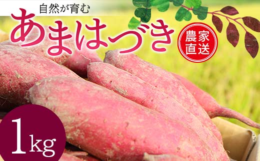 <2026年秋収穫分 先行予約> 自然が育む『あまはづき』1kg さつまいも サツマイモ 芋 F3S-2643