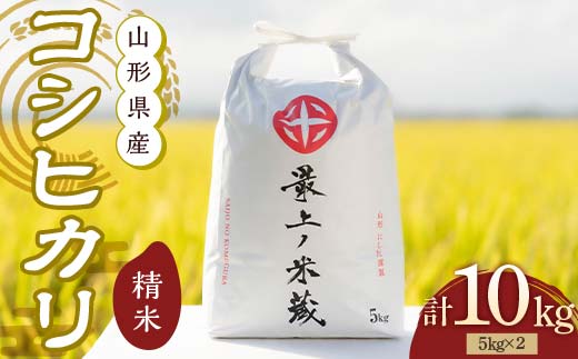令和7年産 コシヒカリ 5kg×2 計10kg 精米 【最上ノ米蔵】 山形県産 こしひかり こめ 米 白米 F3S-2686