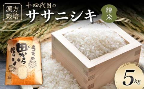 令和5年産 漢方栽培 十四代目のササニシキ 5kg（精米）米 お米 おこめ 山形県 新庄市 F3S-1700