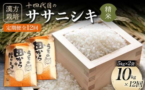 【定期便】令和5年産 漢方栽培 低温熟成乾燥 十四代目のササニシキ 5kg×2袋 （精米）全12回 米 お米 おこめ 山形県 新庄市 F3S-1705